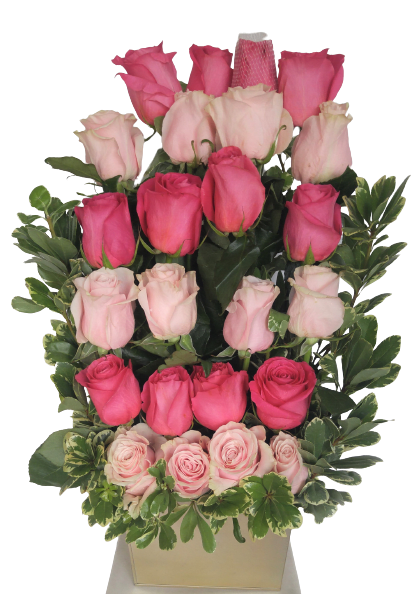 Two Dozen Pink Roses