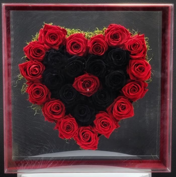 RED & BLACK HEART PRESERVED