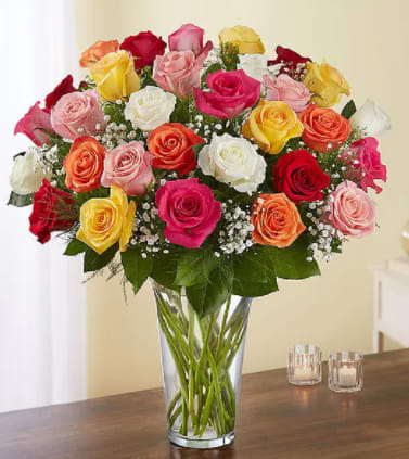 Two Dozen Mixed Color Roses in a Vase