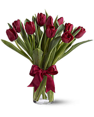 Radiantly Red Tulips PM