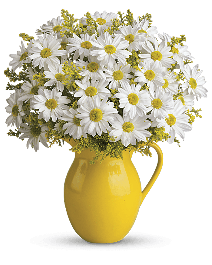 Teleflora's Sunny Day Pitcher of Daisies