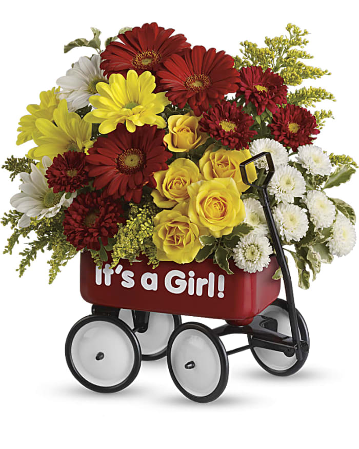 Baby's Wow Wagon by Teleflora - Girl