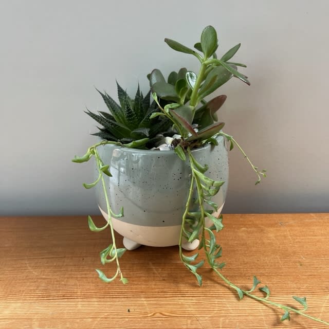 Small Succulent Planter