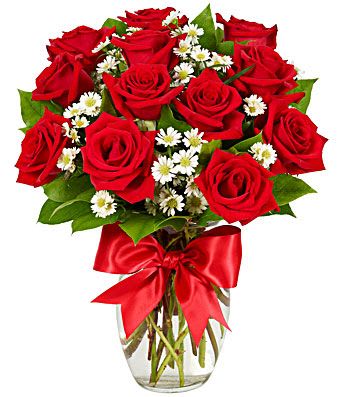 Premium Long Stem Red Roses