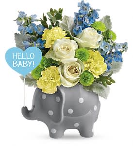 Teleflora's Hello Sweet Baby - Blue