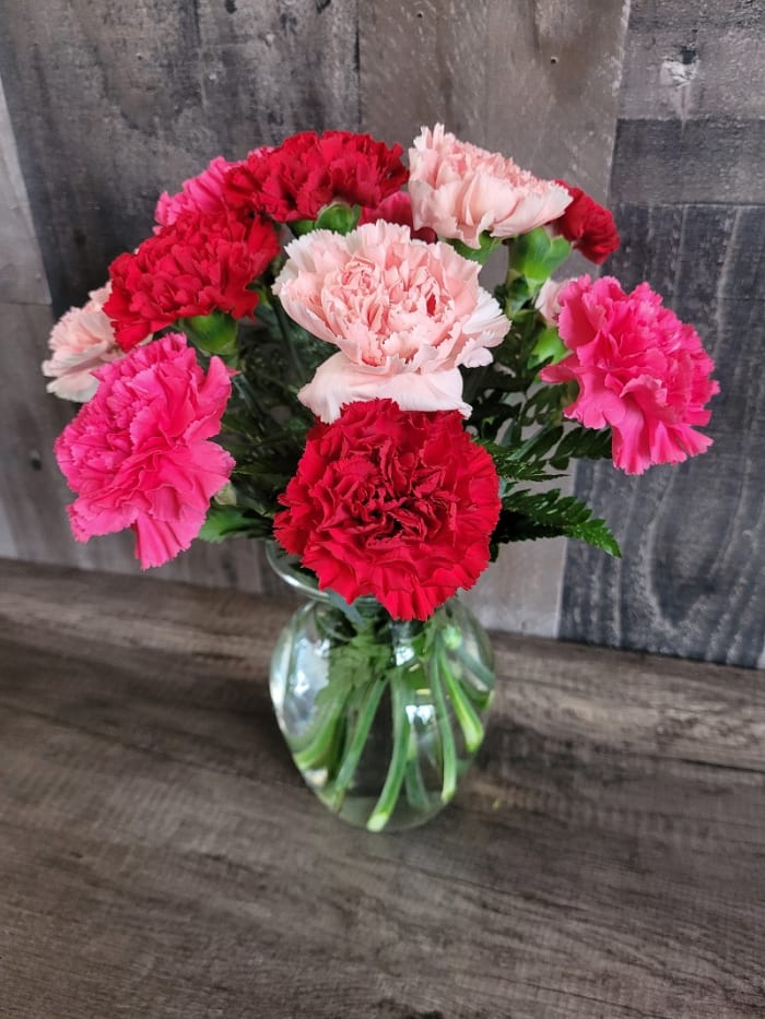 Sweet Dozen Carnations