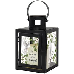 Small Arms of An Angel Lantern