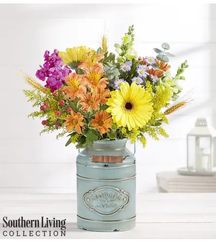 Autumn Delight™ by Southern Living®