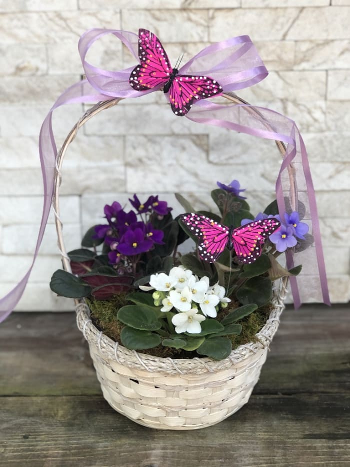 Butterflies & Violets Basket