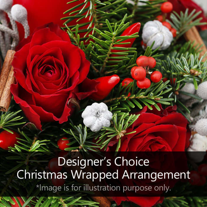 Designer Choice Christmas Wrapped Arrangement