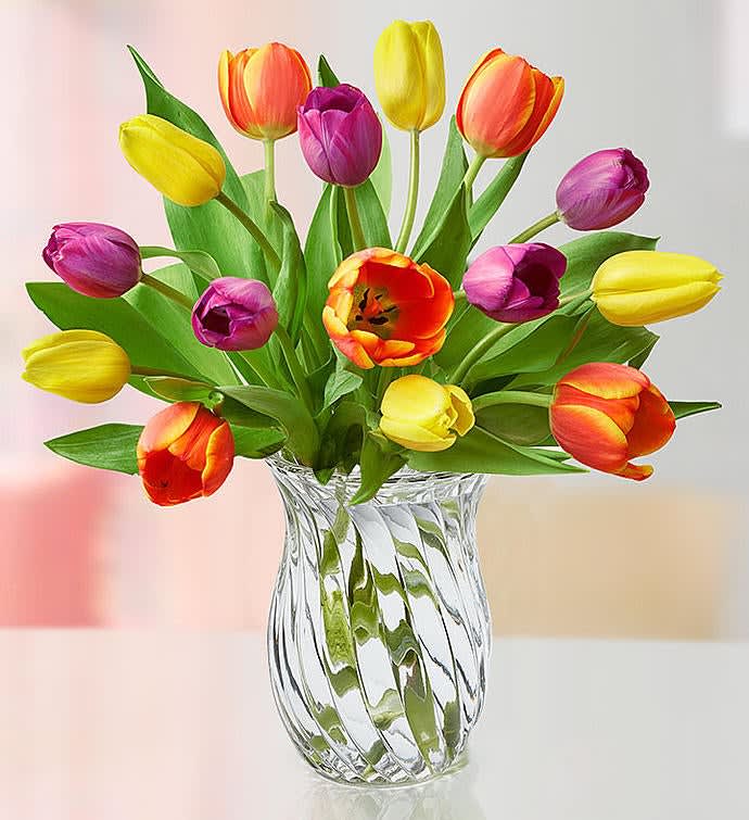 Mother's Day Radiant Tulips, 15-30 Stems