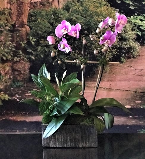 Large Lavender with Peace Lily  25x20