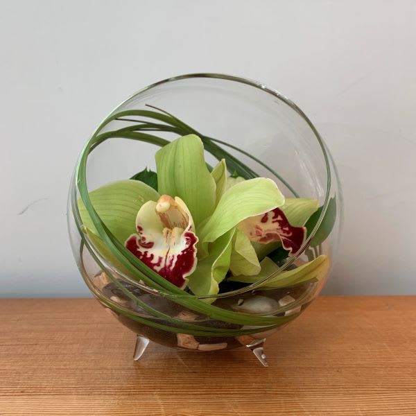 Orchid Bowl