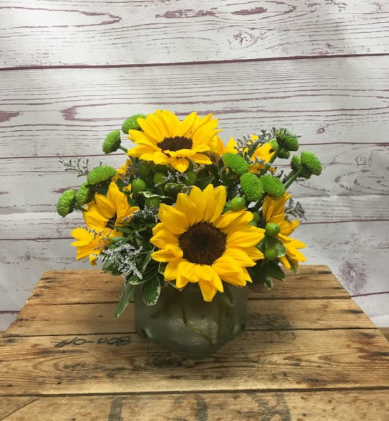 Sunflower Surprise in Edwardsville, IL Goff and Dittman Florists