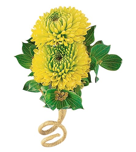 Chrysanthemum Boutonniere