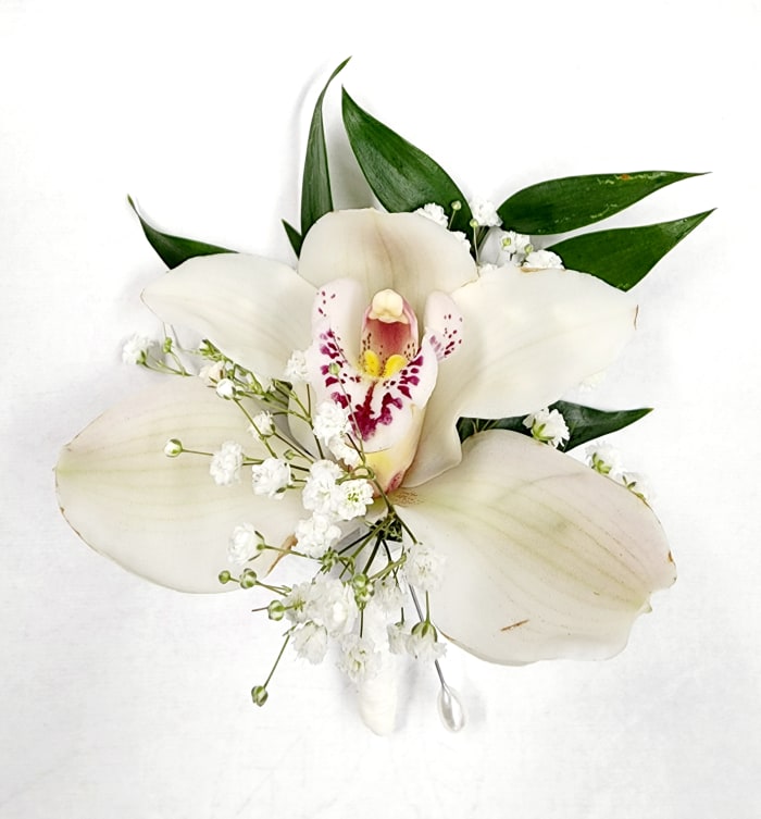 Boutonniere Orchid