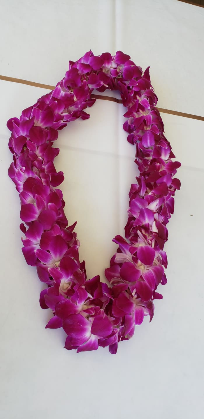 GRADUATION DOUBLE-LEIS