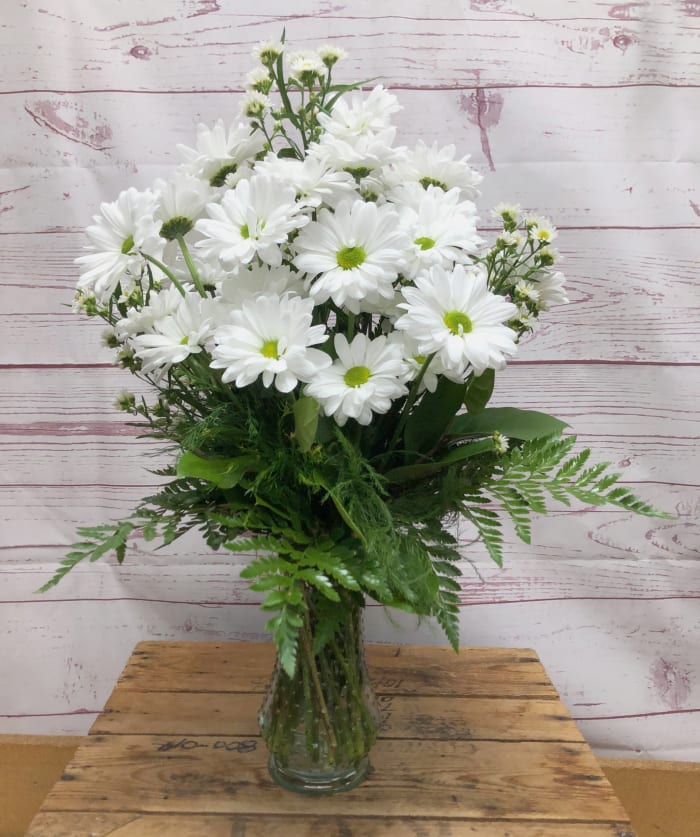 Daisy Daze White Daisy Vase