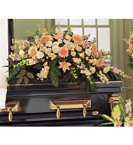Peach Comfort Half-Couch Spray