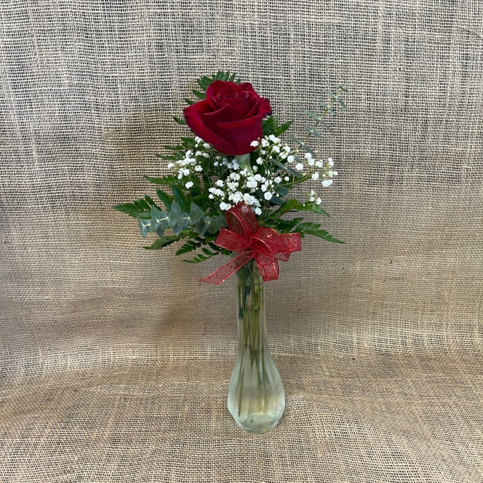 Valentines Red rose bud vases