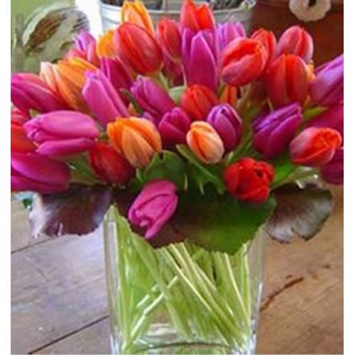 40 Tulips Arranged