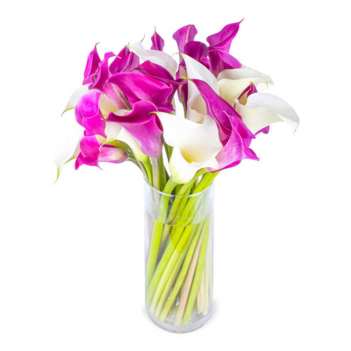 Graceful Calla Lily Bouquet
