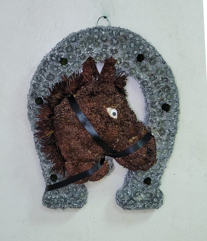 D-9 Diseño de herradura con cara de caballo