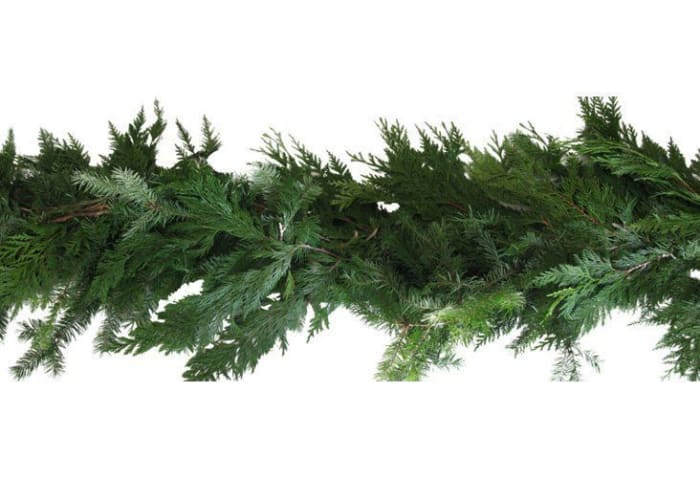 Fresh Country Cabin Garland - 25'