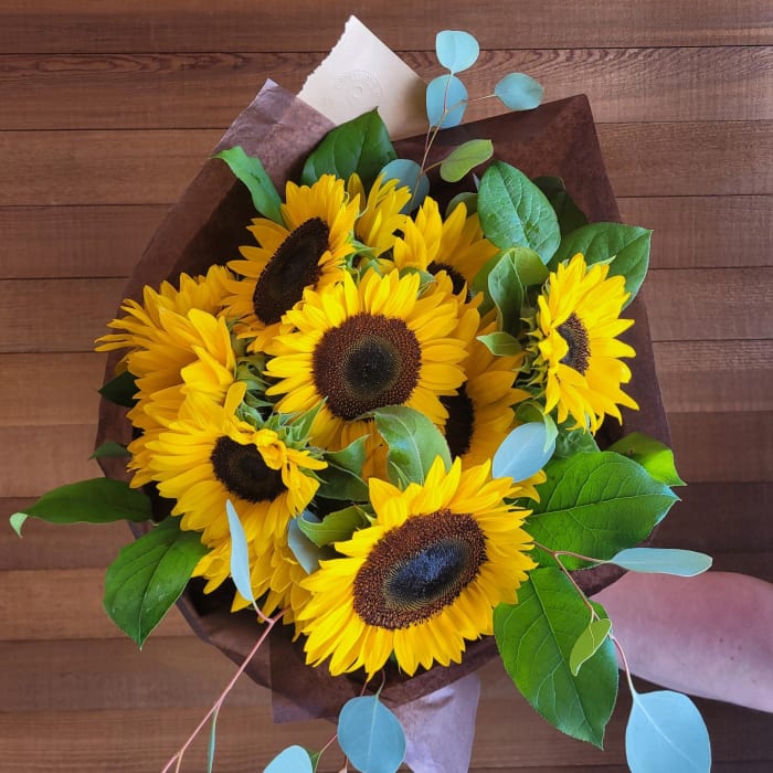 Sunny Dozen!