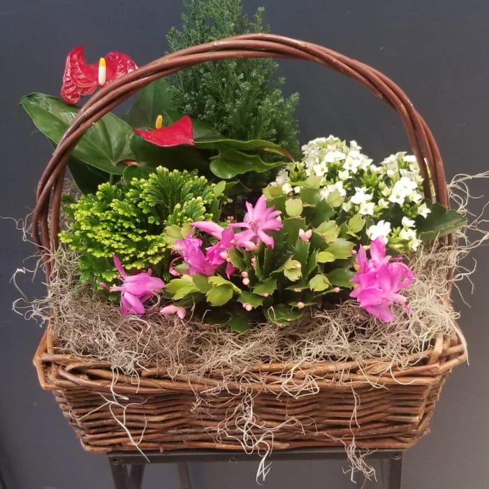 Winter Garden Basket
