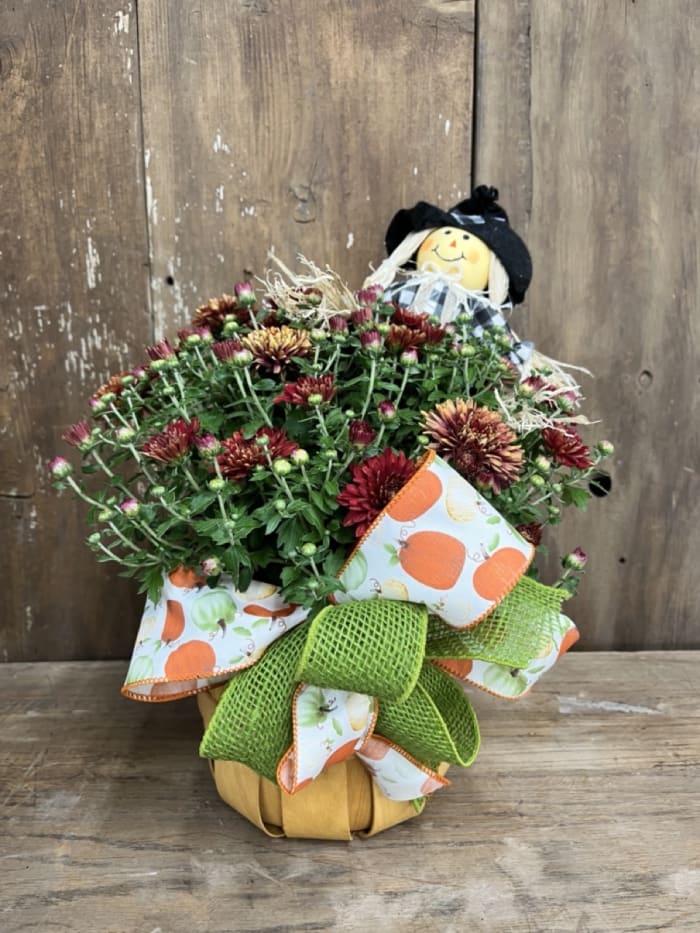 Cheerful Mums for Fall