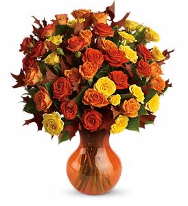 Teleflora's Fabulous Fall Roses