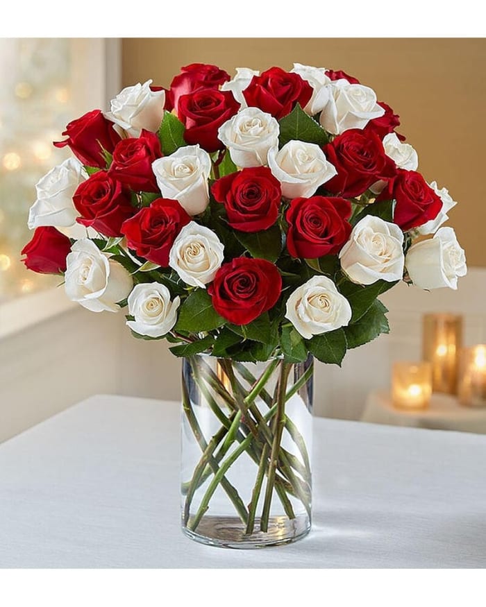 36 Red and White Roses Arranged