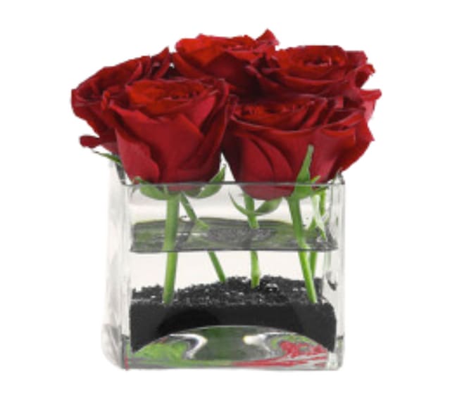 5 Roses In Glass Cube R-1724 *WRITE YOUR ROSE COLOR CHOICE IN THE “DELIVERY NOTES” SECTION AT CHECKOUT*