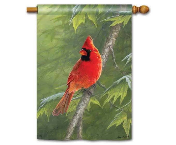 Cardinal Standard Flag