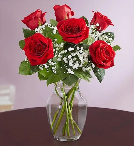 6 RED ROSES