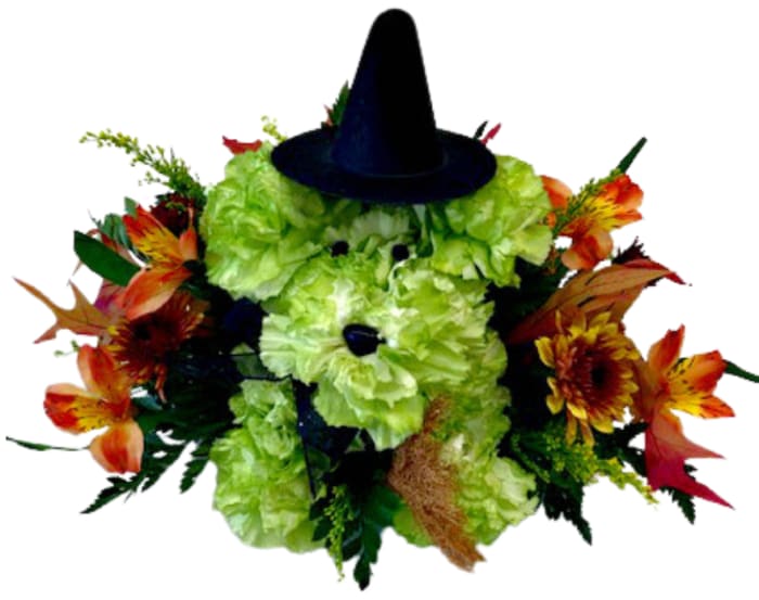Wicked Pooch P-9031 *ONLY 5 LEFT*