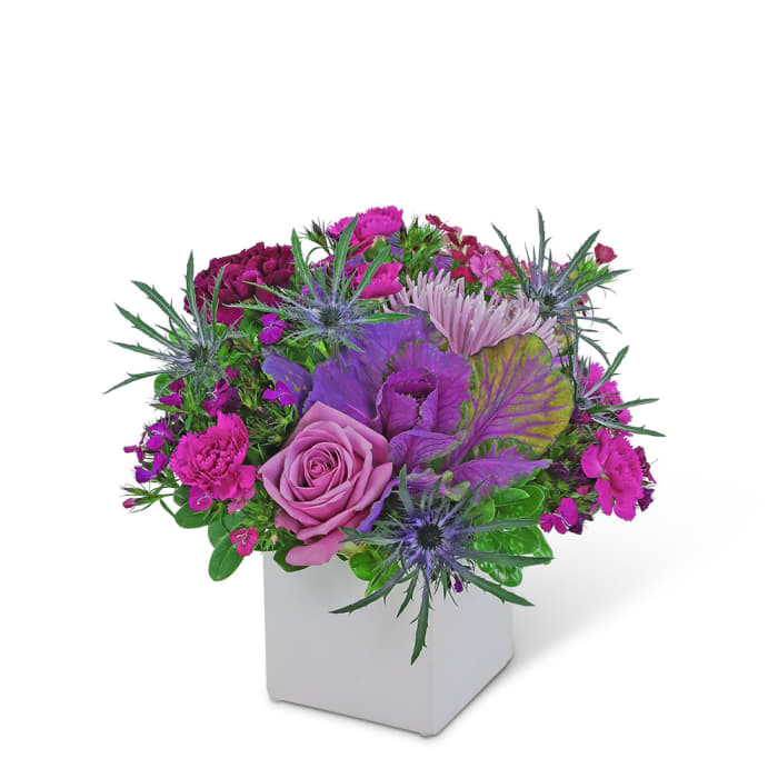 Purple Pasadena