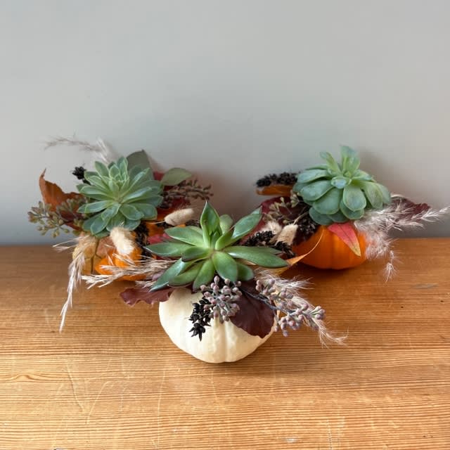 Mini Pumpkin Trio