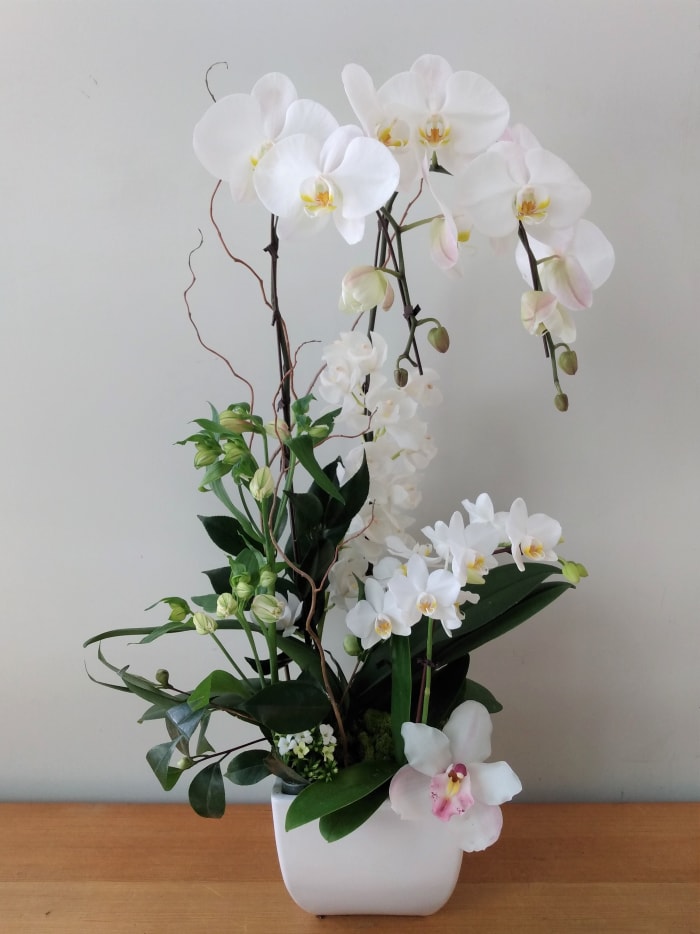 Orchids and Flowers - White Combination Arrangement