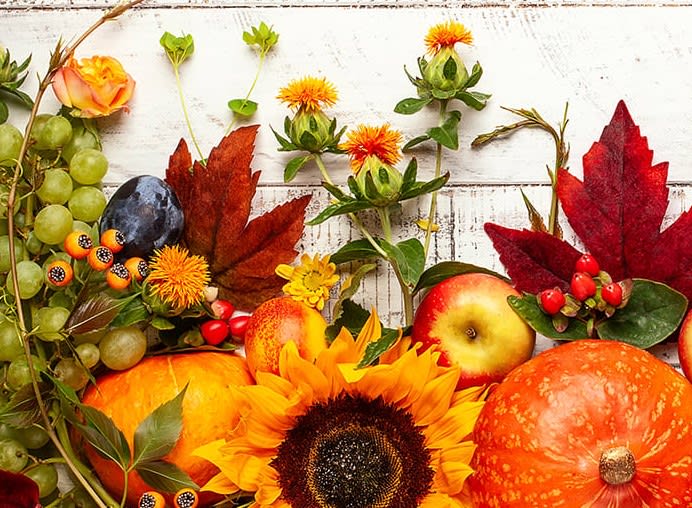 Designer Choice Thanksgiving Vase Arrangement