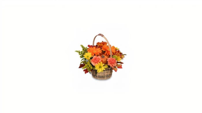Door Dash Enjoy Fall!