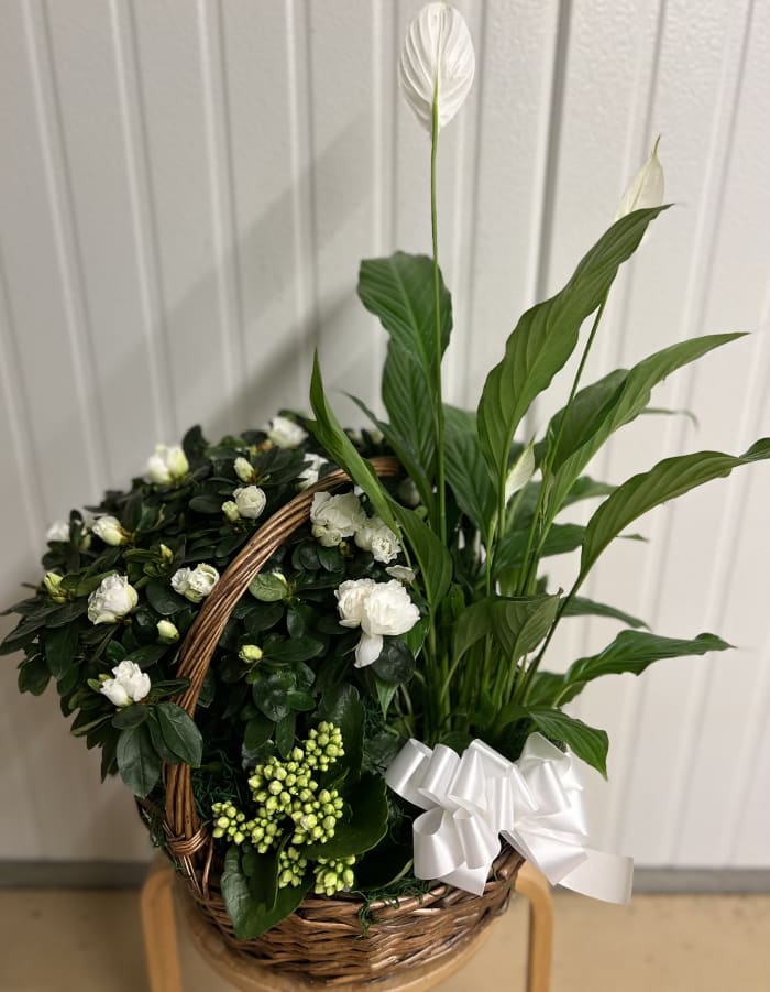 Basket of Sympathy Plants