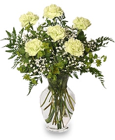 Pride & Joy New Baby Flowers