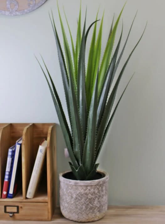 Artificial Aloe Vera Plant