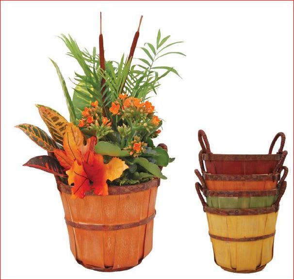 Bushel of Plants