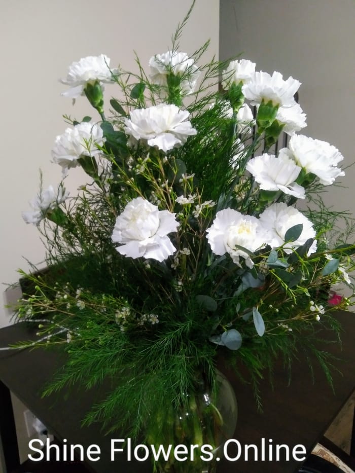 Blooming In White Carnations