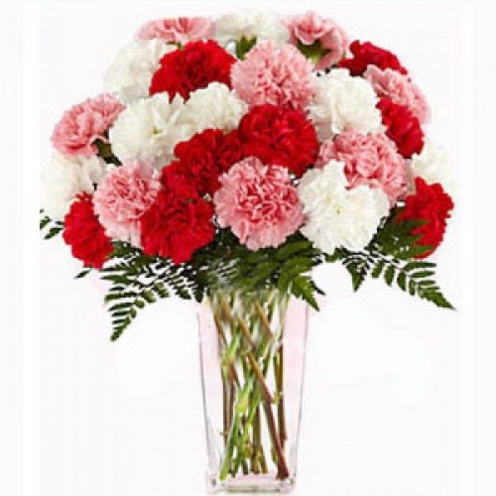 Carnations in A Vase