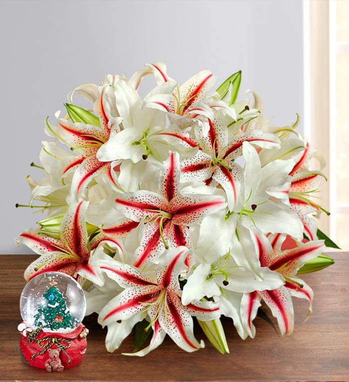 Candy Cane Christmas Bouquet