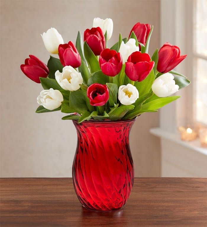 Holiday Tulips